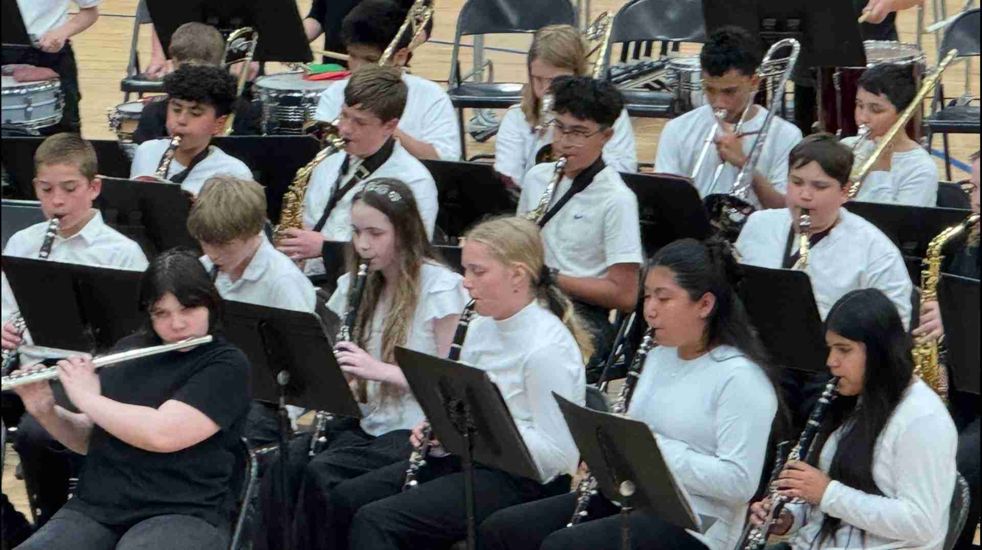 pioneerband